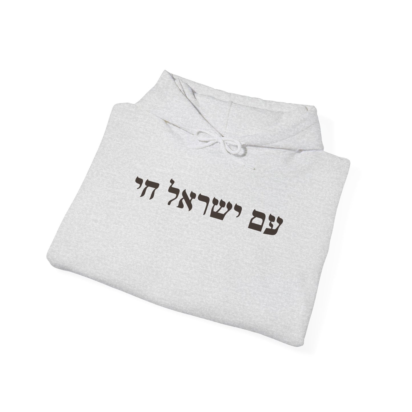 Hebrew Am Yisrael Chai Hoodie