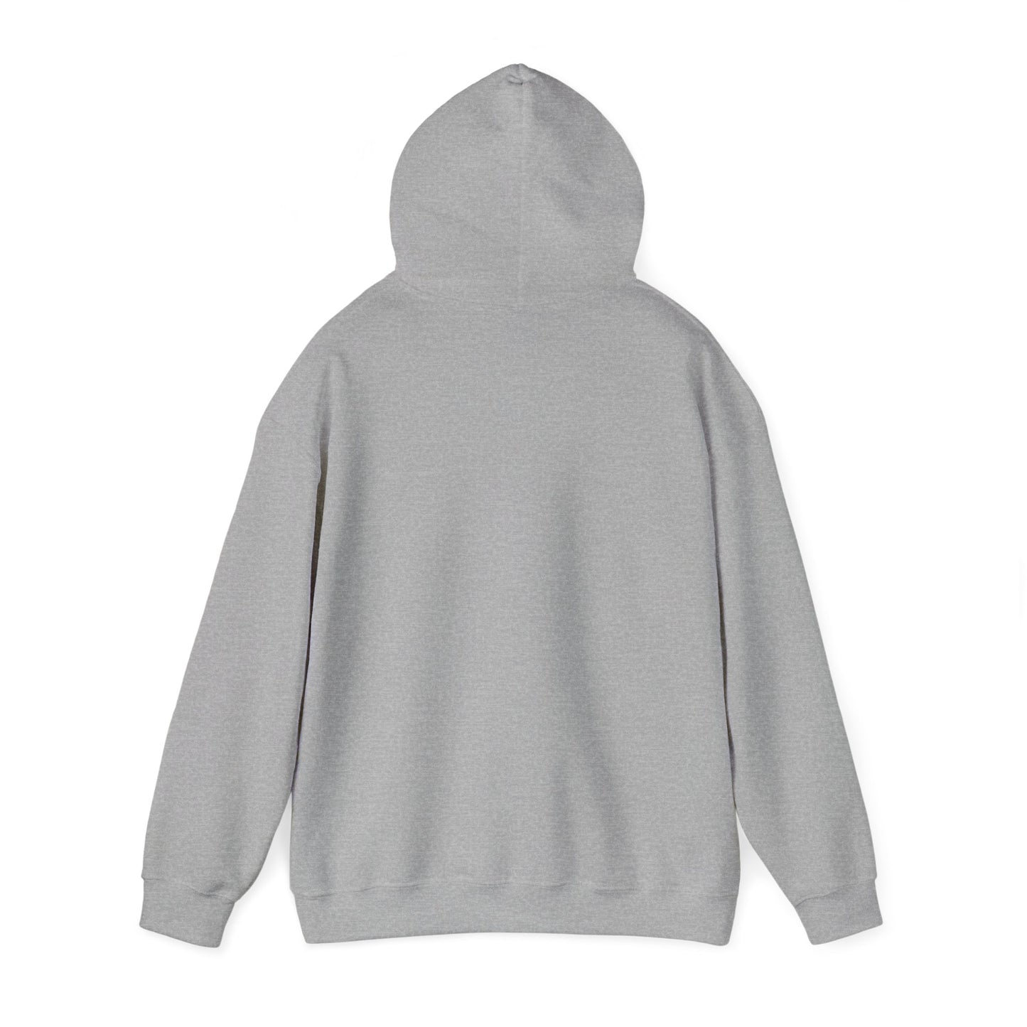 B'Lev Echad Hoodie